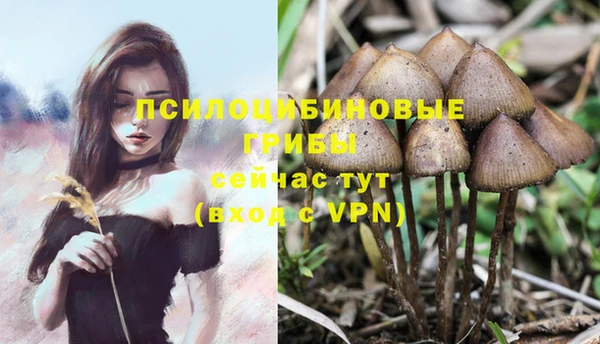 бутират Верхний Тагил