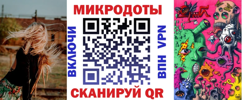 закладки  Камызяк  Псилоцибиновые грибы Psilocybe 